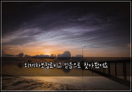 외제차보험료비교 믿음으로 찾아봤어요