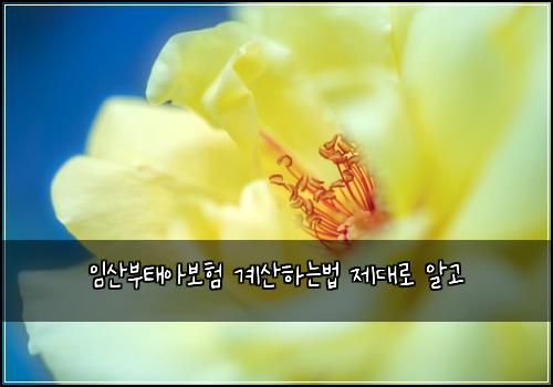임산부태아보험 계산하는법  제대로 알고