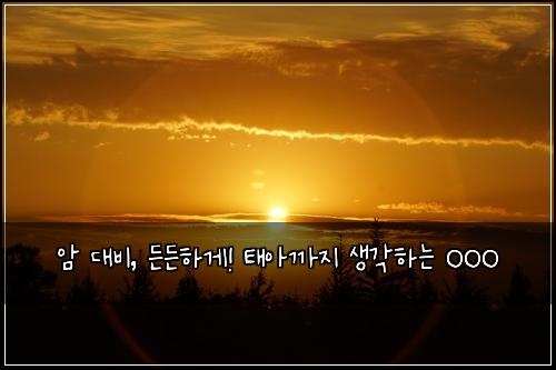 암 대비, 든든하게! 태아까지 생각하는 OOO