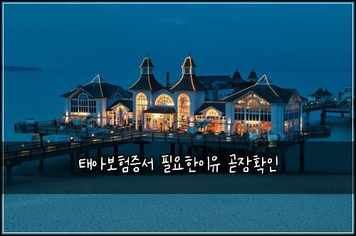 태아보험증서 필요한이유 곧장확인