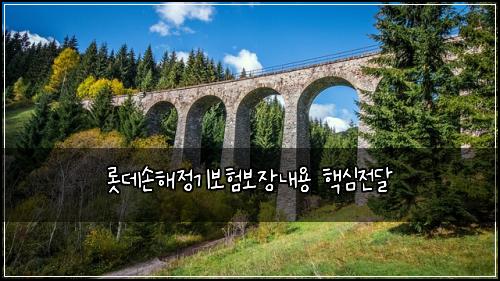 롯데손해정기보험보장내용 핵심전달