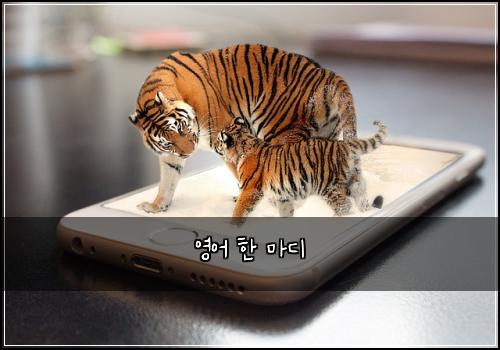 영어 한 마디