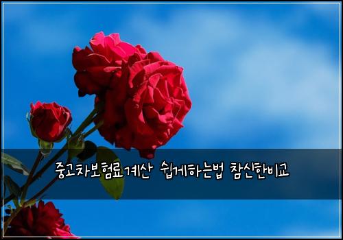 중고차보험료계산 쉽게하는법 참신한비교