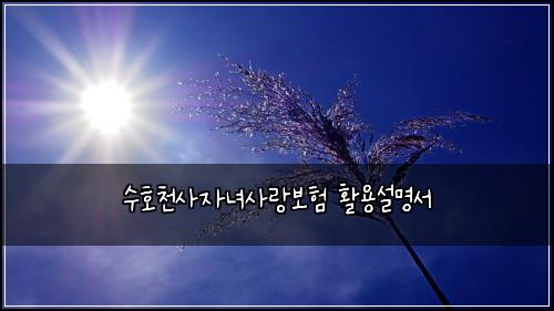 수호천사자녀사랑보험 활용설명서 
