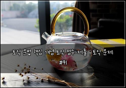 토익 문법 핵심 개념 토익 점수 제출 : 토익 문제 #41