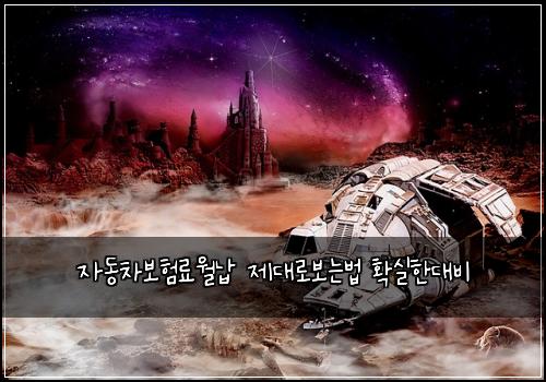 자동차보험료월납 제대로보는법 확실한대비
