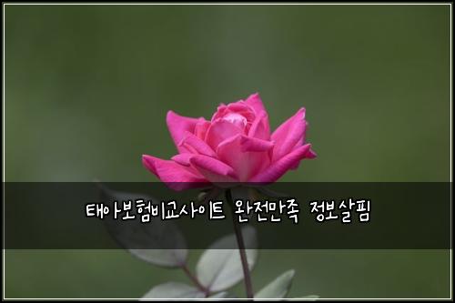 태아보험비교사이트 완전만족 정보살핌