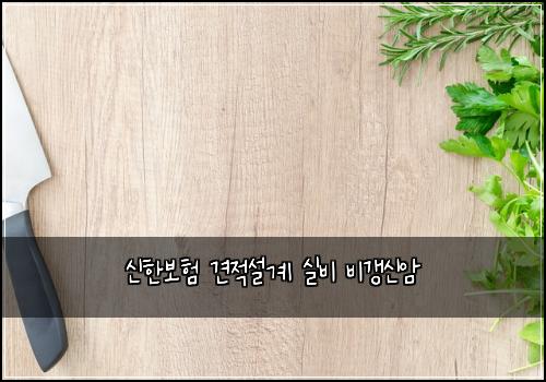 신한보험 견적설계  실비 비갱신암