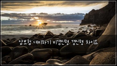 암보험 대비하기  비갱신형 갱신형 차이요