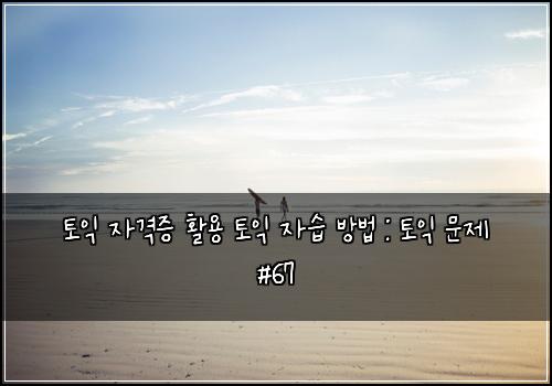 토익 자격증 활용 토익 자습 방법 : 토익 문제 #67