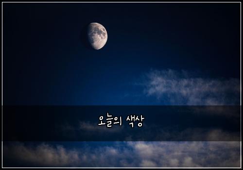 오늘의 색상