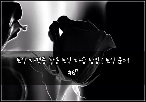 토익 자격증 활용 토익 자습 방법 : 토익 문제 #67