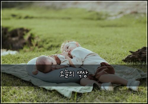 오늘의 색상