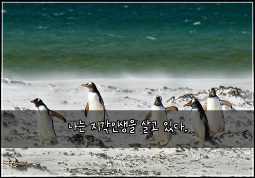 나는 지각인생을 살고 있다.