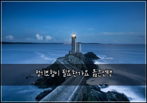 정기보험이 필요한가요 옳은선택