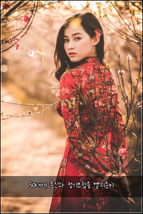 50대에 종신과 정기보험중 빨리준비