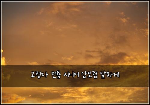 고령자 전용 시니어 암보험 알차게 