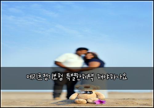메리츠정기보험 특별한헤택  해야하나요