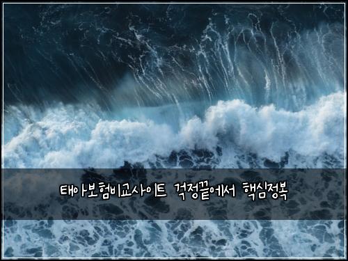 태아보험비교사이트 걱정끝에서 핵심정복