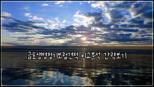 금호생명정기보험견적 비교분석 간략보기