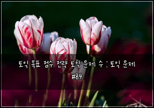토익 목표 점수 전략 토익 문제 수 : 토익 문제 #84