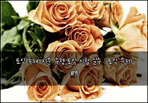 토익 독해 지문 유형 토익 시험 실수 : 토익 문제 #91