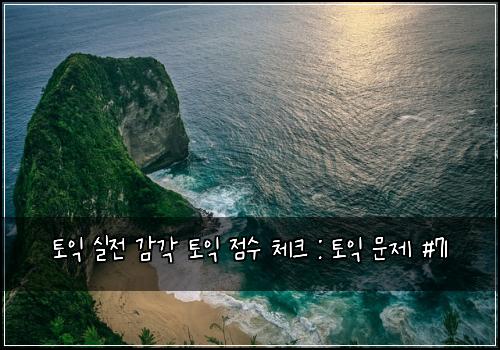 토익 실전 감각 토익 점수 체크 : 토익 문제 #71