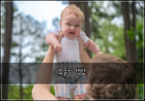 오늘의 색상
