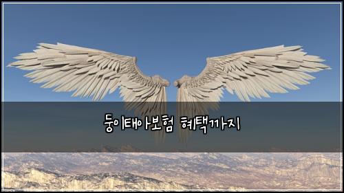 둥이태아보험 혜택까지 