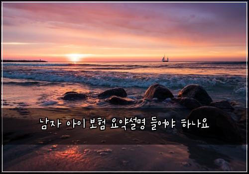 남자 아이 보험 요약설명  들어야 하나요