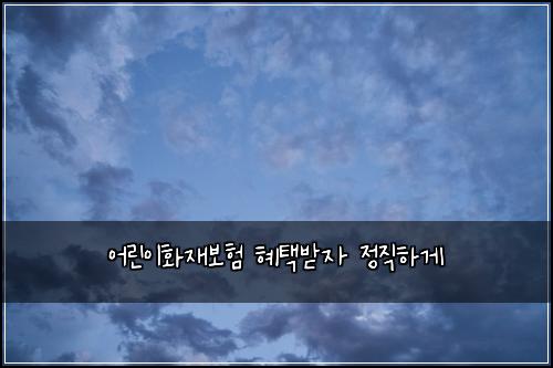 어린이화재보험 혜택받자  정직하게