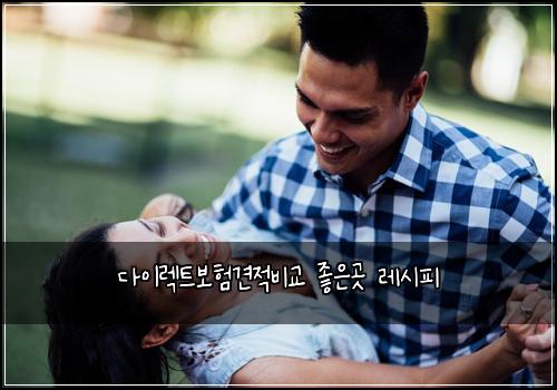 다이렉트보험견적비교 좋은곳 레시피