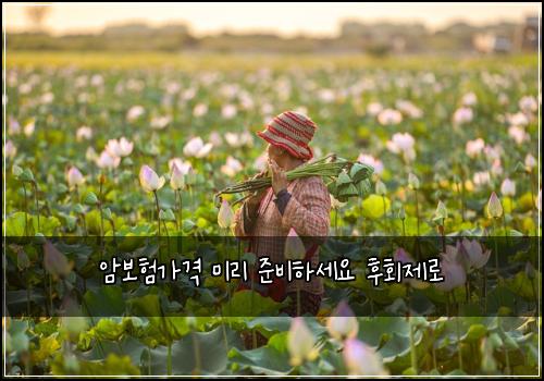 암보험가격 미리 준비하세요 후회제로