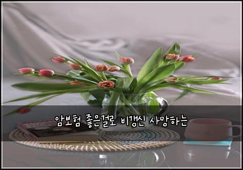암보험 좋은걸로  비갱신 사망하는