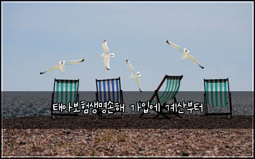 νμ보νμλͺ
μν΄ κ°μ
μ κ³μ°λΆν°