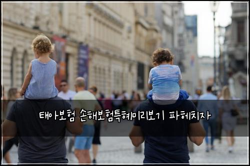 태아보험 손해보험특혜미리보기 파헤치자