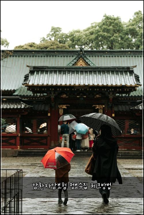 암환자암보험 정보수집  체크방법