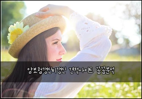 암보험갱신비갱신 견적사이트 꼼꼼분석