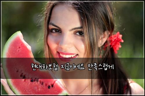 ํ๋์ฐจ๋ณดํ ์ง๊ธ์ด์์ ๋ง์กฑ์ค๋ฝ๊ฒ