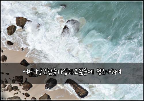 어머니암보험을가입하고싶은데 정보나눠여