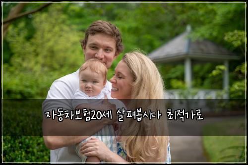 ์๋์ฐจ๋ณดํ20์ธ ์ดํด๋ด
์๋ค ์ต์ ๊ฐ๋ก