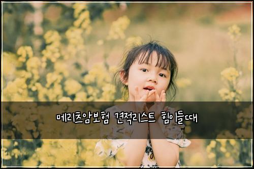 메리츠암보험 견적리스트  힘이들때