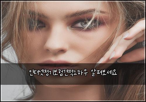 인터넷정기보험견적노하우 살펴보세요