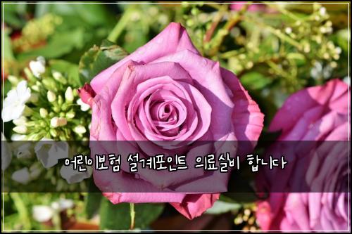 어린이보험 설계포인트  의료실비 합니다