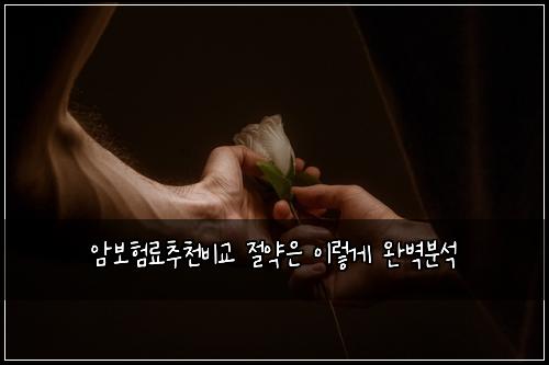 암보험료추천비교 절약은 이렇게 완벽분석