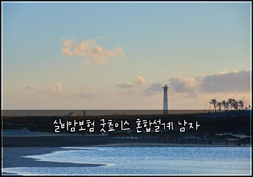 실비암보험 굿쵸이스  혼합설계 남자