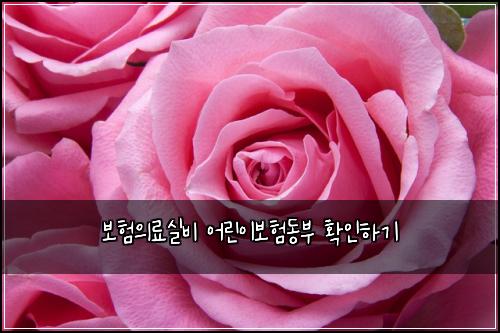 보험의료실비 어린이보험동부 확인하기