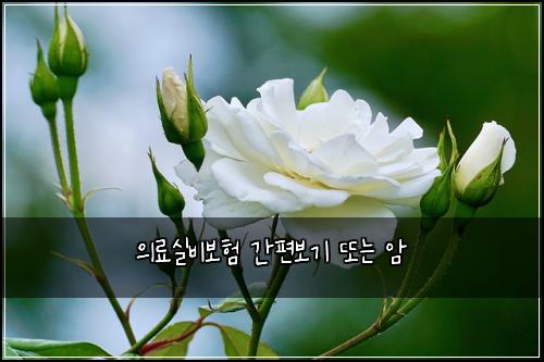 ์๋ฃ์ค๋น๋ณดํ ๊ฐํธ๋ณด๊ธฐ ๋๋ ์