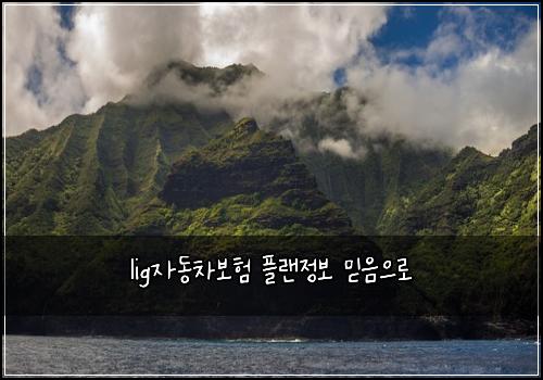 lig자동차보험 플랜정보  믿음으로