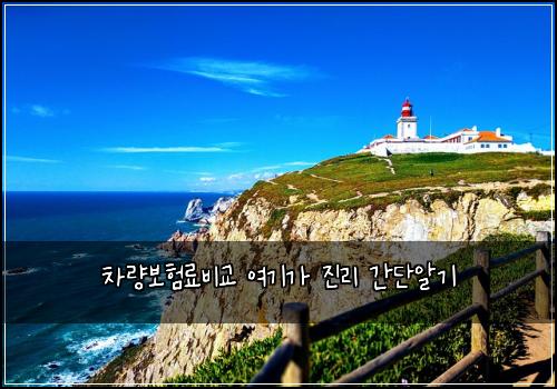 차량보험료비교 여기가 진리 간단알기